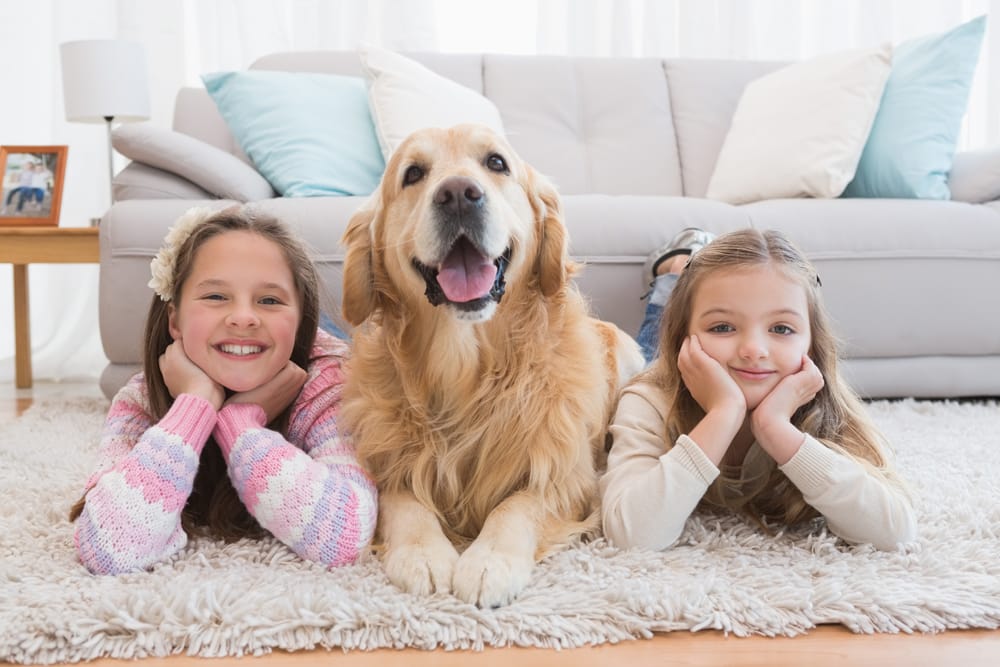 Keeping Kids Safe Keeping Kids Safe