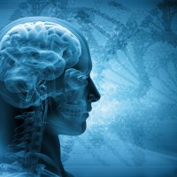 How Our Brains Control How We Feel About Ourselves