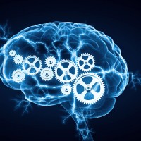 Keep an Active and Healthy Brain