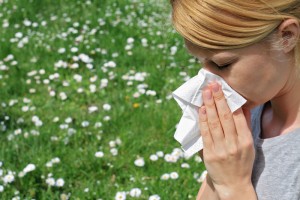 Spring Allergies