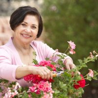 Gardening Safety Tips For Seniors