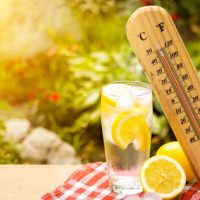 Beat The Summer Heat: Safety Tips For Seniors