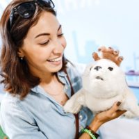 Robots As Companions