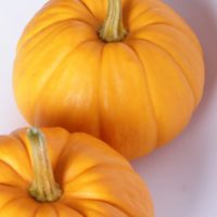 Halloween Safety Tips
