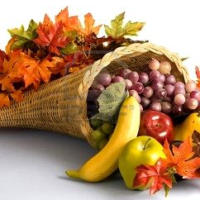 Create Lasting Memories this Thanksgiving