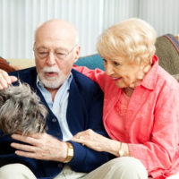 The Benefits Of Pets For Seniors