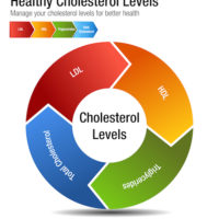 Understanding Your Cholesterol Levels